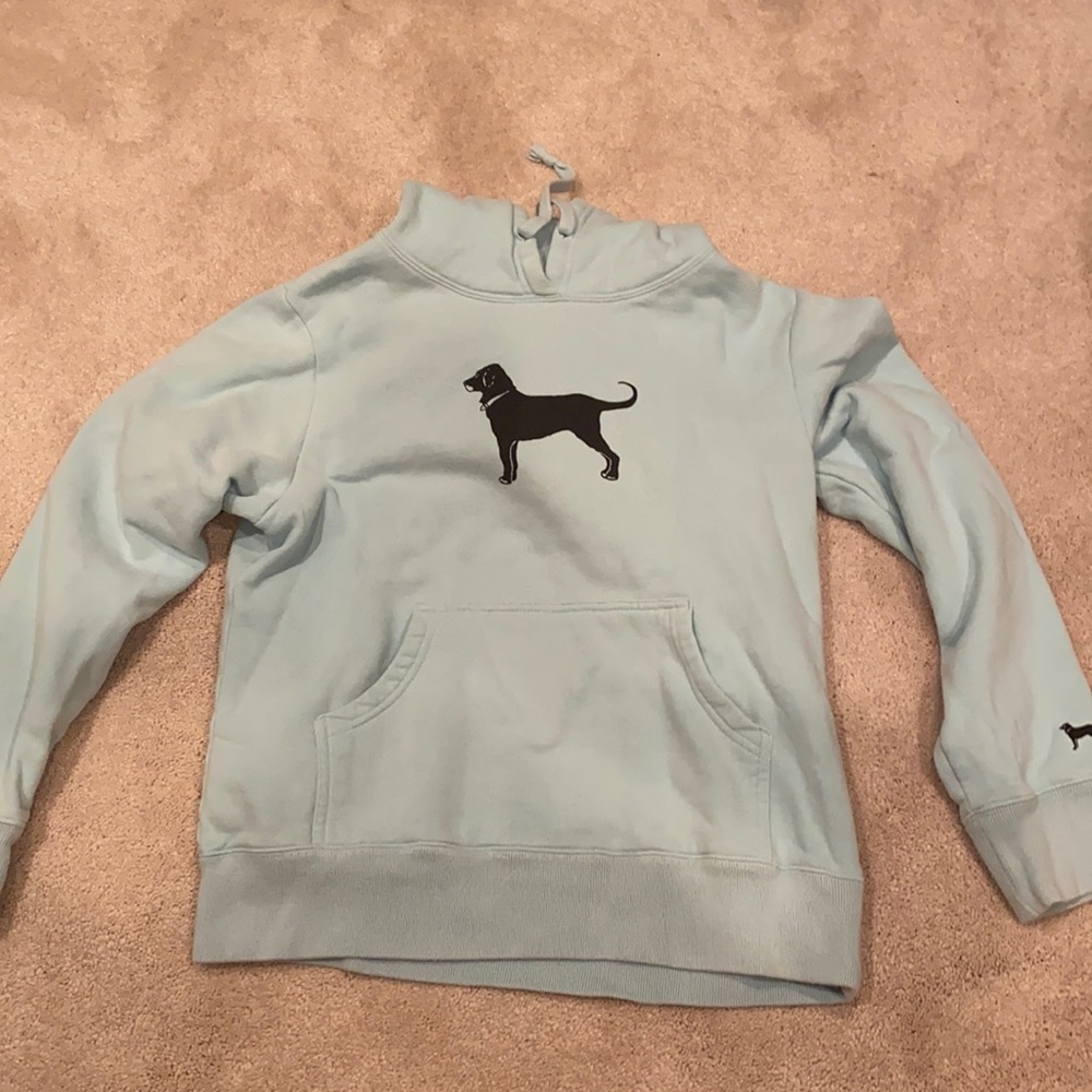 Teal Black dog hoodie